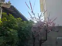 十輪院(大阪府)