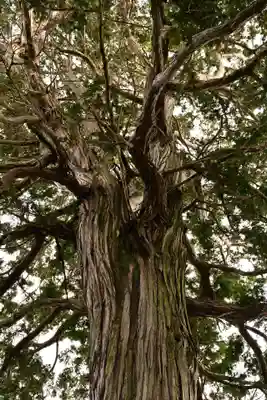 神門寺(島根県)