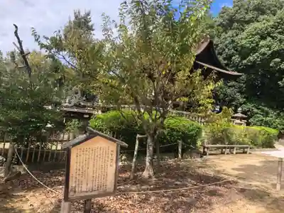 阿智神社(岡山県)