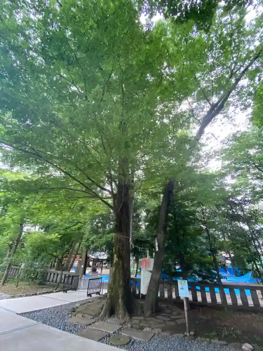 布多天神社の自然