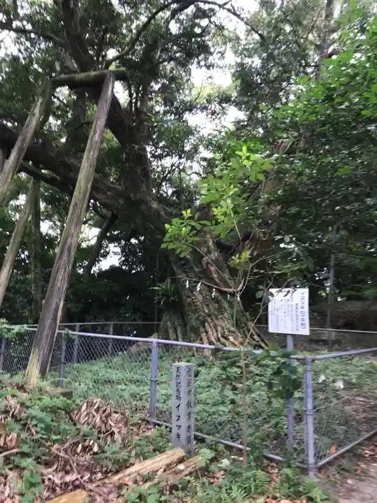 熊野神社の自然