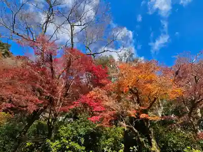 長谷寺(奈良県)
