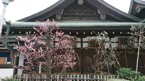 大阪天満宮の自然