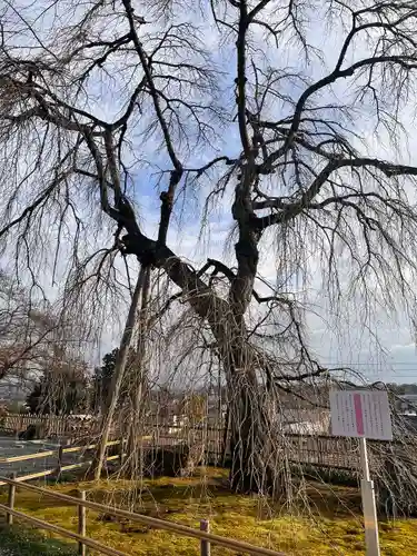 身照寺(岩手県)