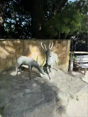 志賀海神社(福岡県)