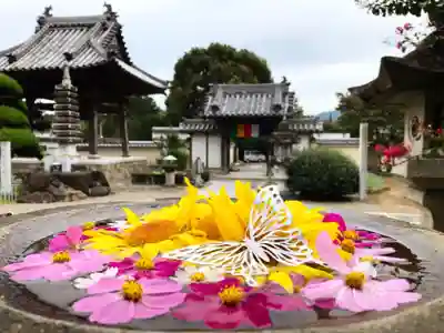 真言宗　善通寺派　薬王寺(香川県)