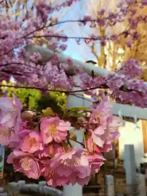 鳩森八幡神社(東京都)