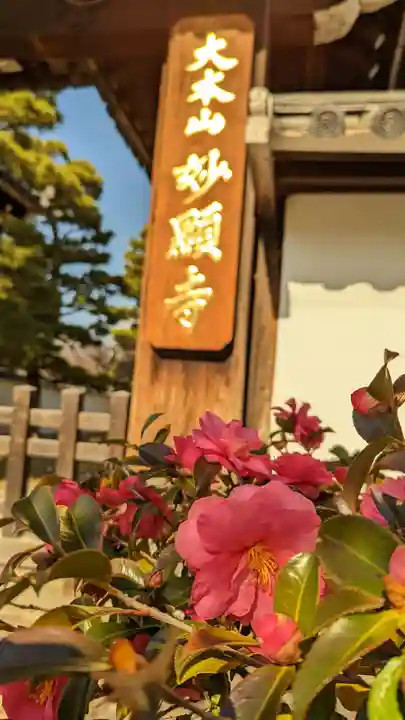 妙顯寺(妙顕寺)のその他建物