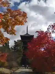 仁和寺(京都府)