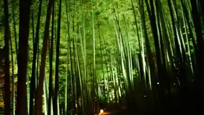 高台寺（高台寿聖禅寺・高臺寺）のその他建物