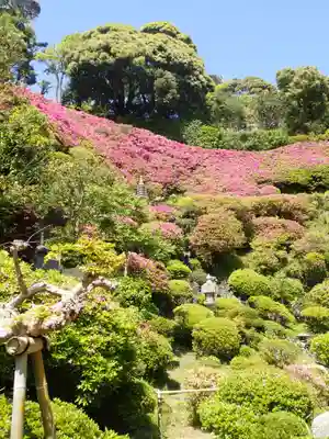 仏行寺（佛行寺）(神奈川県)