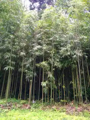 浄智寺(神奈川県)