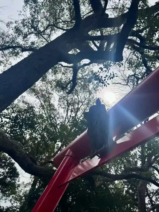 凉森神社の{uncategorized: "未分類", other: "その他", undefined: "問題あり", building: "その他建物", grave: "お墓", sacred_gate: "鳥居", guardian: "狛犬", statue: "像", buddha: "仏像", history: "歴史", nature: "自然", garden: "庭園", animal: "動物", pagoda: "塔", temizu: "手水舎", mountain_gate: "山門・神門", sanctuary: "本殿・本堂", subordinate: "末社・摂社", art: "芸術", scenery: "景色", jizo: "地蔵", ema: "絵馬", goshuin: "御朱印", omikuji: "おみくじ", items: "授与品その他", amulet: "お守り", goshuincho: "御朱印帳", eats: "食事", festival: "お祭り", votive_dance: "神楽", shichigosan: "七五三参", wedding: "結婚式", experience: "体験その他", initially: "初詣", around: "周辺", anti_infection: "感染症対策"}
