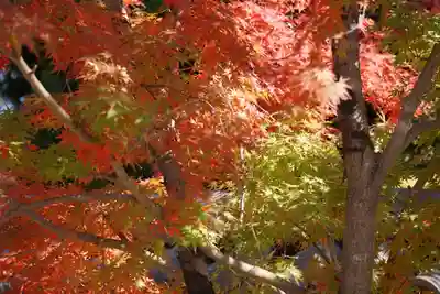 仁和寺(京都府)