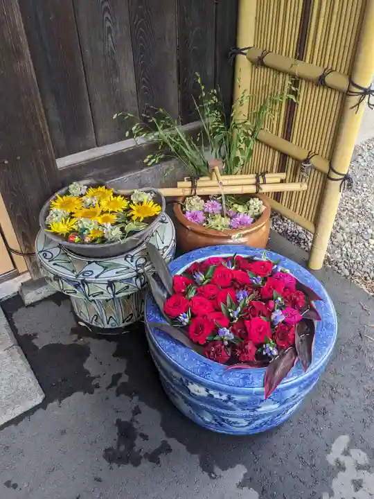 多賀神社の手水舎