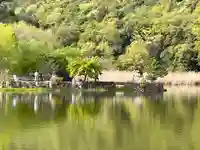 観音島(京都府)