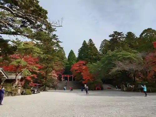霧島神宮(鹿児島県)