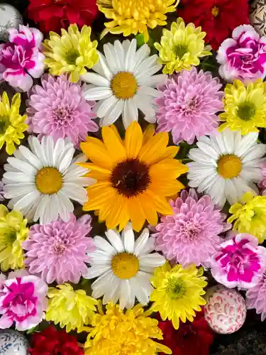 伊達神社(北海道)