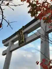 長岡天満宮(京都府)