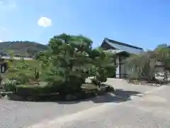 勧修寺の建物その他