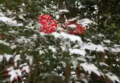 須佐神社の自然