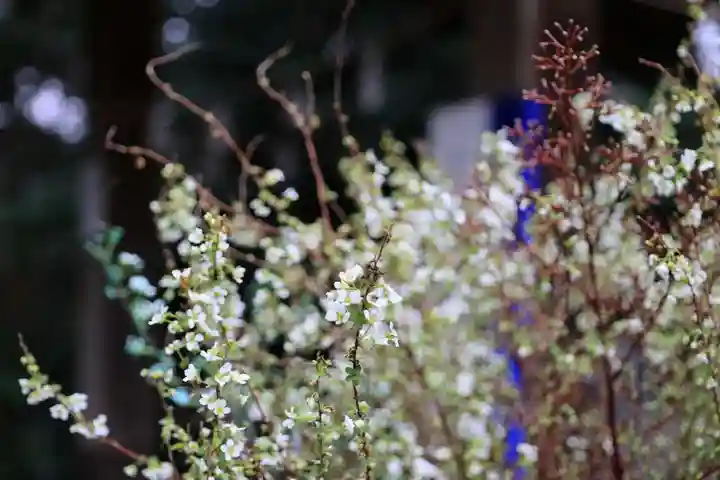 滑川神社 - 仕事と子どもの守り神(福島県)