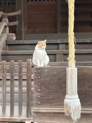 雀神社の動物