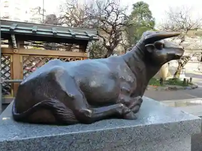 湯島天満宮の狛犬
