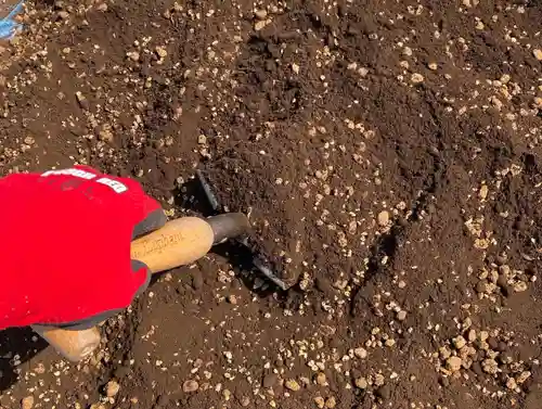 總社 和田八幡宮(福井県)