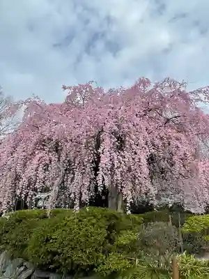 櫻木神社(千葉県)