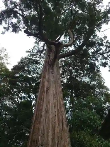 事任八幡宮の建物その他