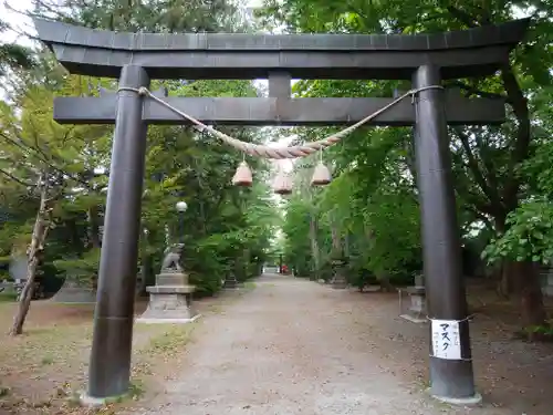 信濃神社の鳥居