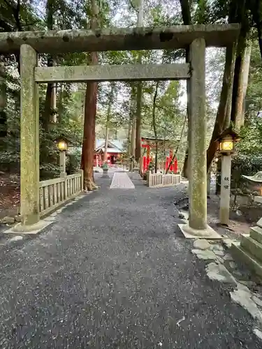 椿大神社の鳥居