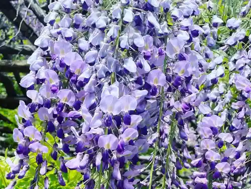 神炊館神社 ⁂奥州須賀川総鎮守⁂の自然