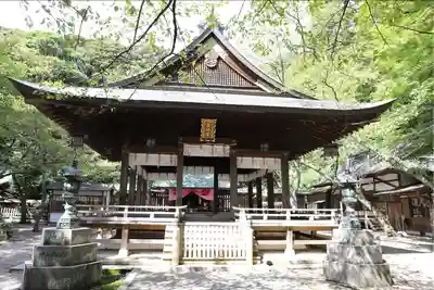 金崎宮の本殿・本堂