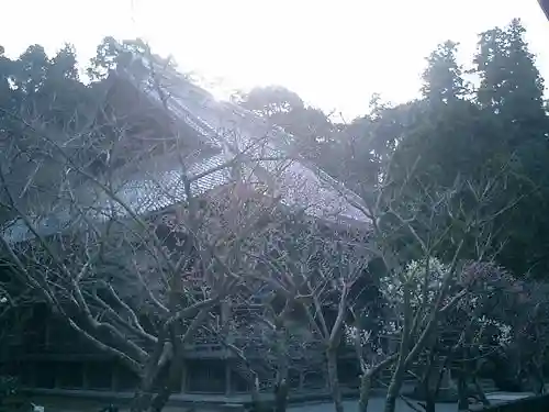 妙本寺のその他建物