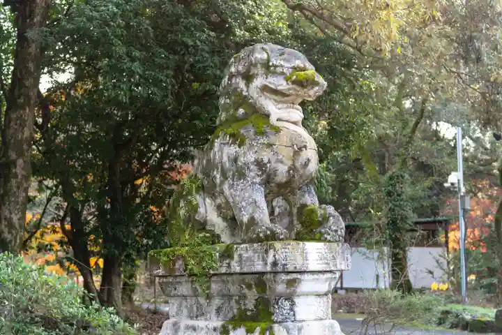 宇佐神宮(大分県)