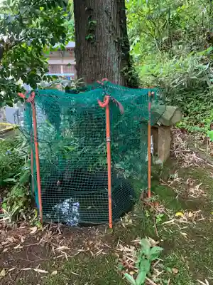 白山神社(千葉県)
