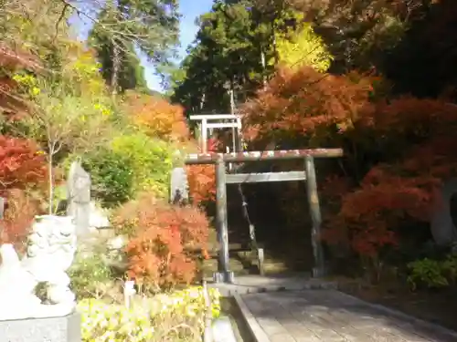 半僧坊大権現の鳥居