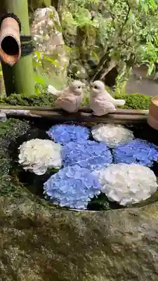 柳谷観音　楊谷寺(京都府)