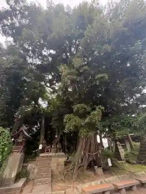 揖夜神社(島根県)