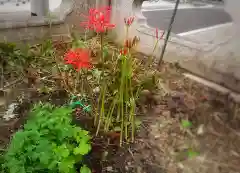 三輪神社の自然