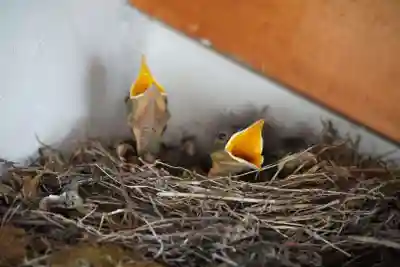 上行寺(静岡県)