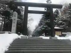 北海道神宮の鳥居