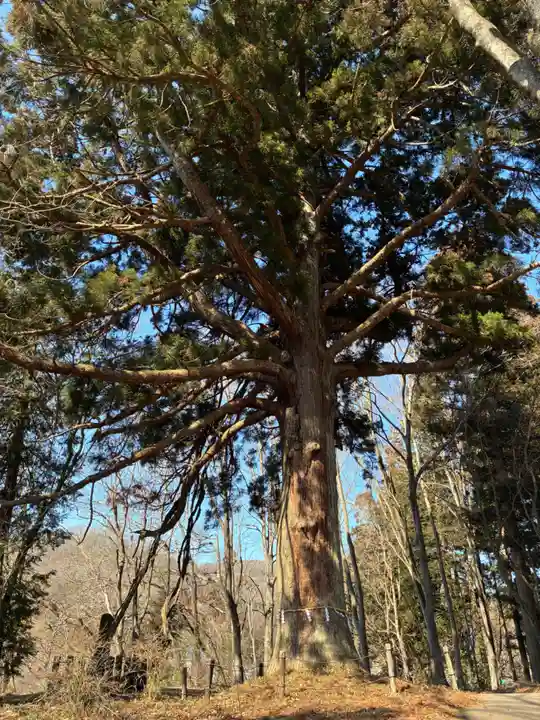 白河神社(福島県)