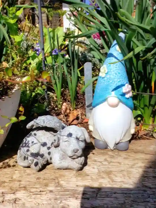 智光院(東京都)