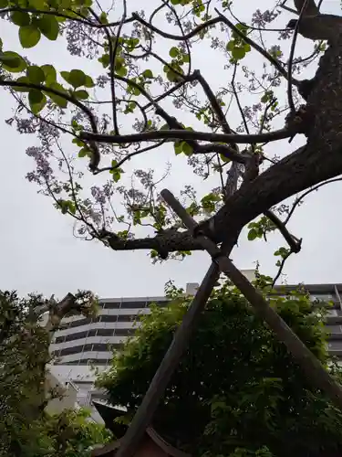 四谷於岩稲荷田宮神社(東京都)