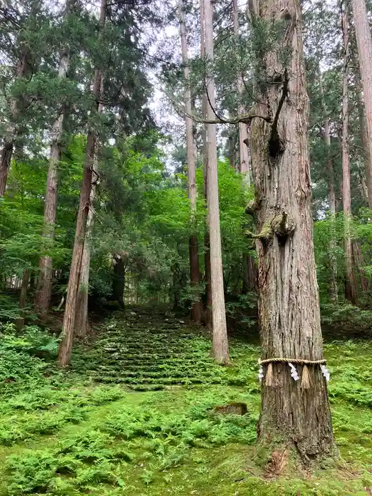 平泉寺白山神社(福井県)
