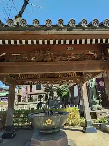 新井薬師（梅照院）(東京都)