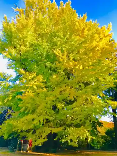 西蓮寺(茨城県)